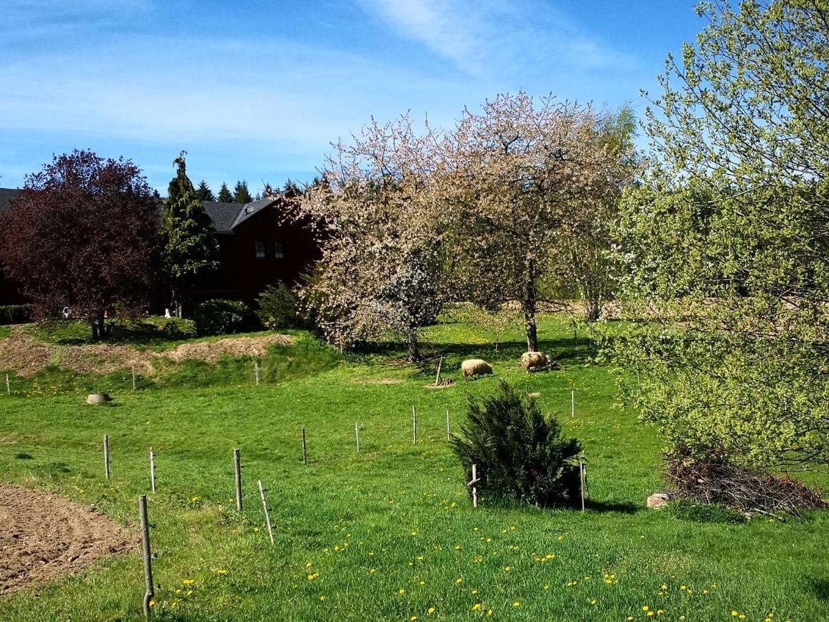 Ferienwohnungen 1 Bis 4 "Pumphut'S Scheune" Lengenfeld  Exterior photo